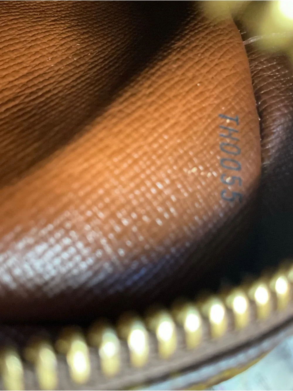 Louis Vuitton Monogram Amazon Shoulder Bag - Picture 15 of 16